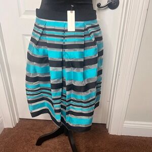 Anthropologie‎ Eva Franco Women's Striped Pleated Blue Midi Skirt Size 8P NWT
